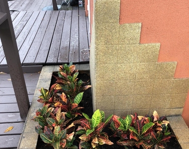 61 Nw 35th Street - Photo Thumbnail 4