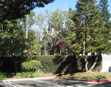 2577 Plaza Del Amo - Photo Thumbnail 16