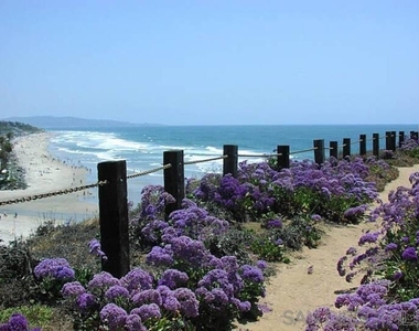12261 Carmel Vista Rd - Photo Thumbnail 39
