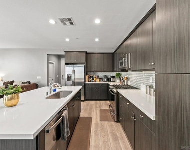 2028 Avenida Andanza - Photo Thumbnail 5