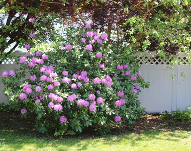 535 Dawson Road - Photo Thumbnail 31