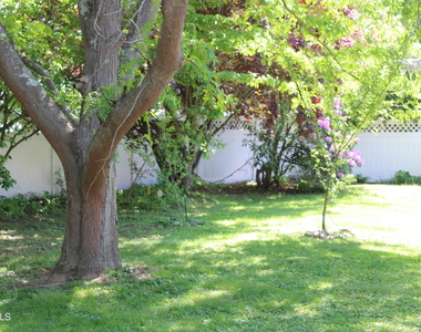 535 Dawson Road - Photo Thumbnail 28