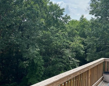 10603 Brice Court - Photo Thumbnail 15