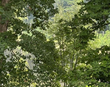 10603 Brice Court - Photo Thumbnail 17