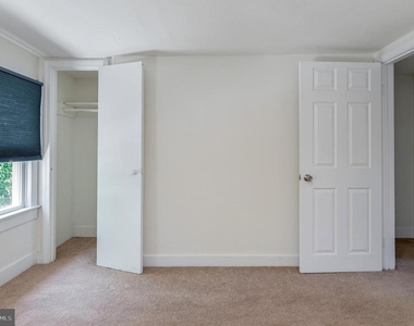 319 Wolfe Street - Photo Thumbnail 22