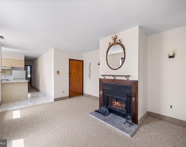 507 Catharine Street - Photo Thumbnail 4