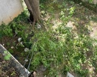 5630 Pemberton Street - Photo Thumbnail 2