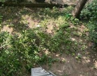 5630 Pemberton Street - Photo Thumbnail 3