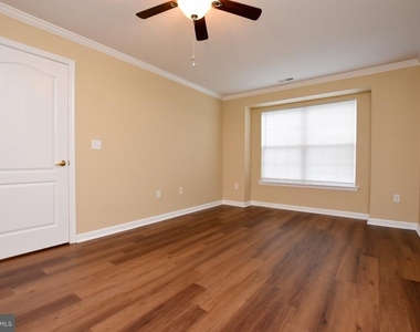 342 Nicholas - Photo Thumbnail 16