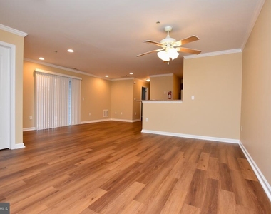 342 Nicholas - Photo Thumbnail 3