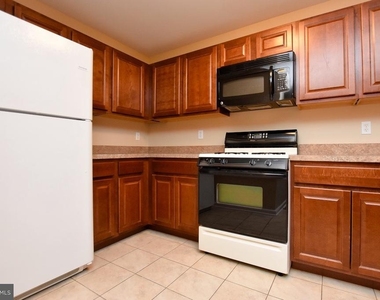 342 Nicholas - Photo Thumbnail 8