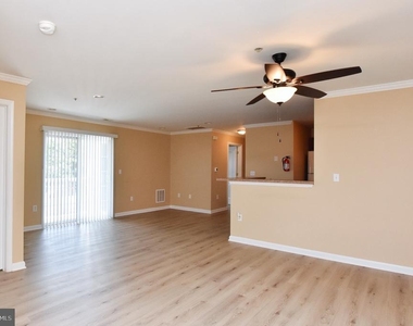 342 Nicholas - Photo Thumbnail 6