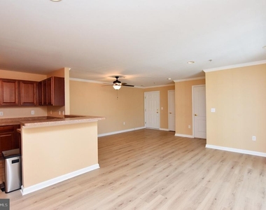 342 Nicholas - Photo Thumbnail 4
