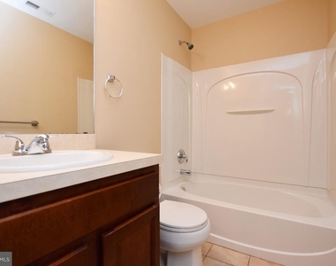 342 Nicholas - Photo Thumbnail 11