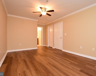 342 Nicholas - Photo Thumbnail 17