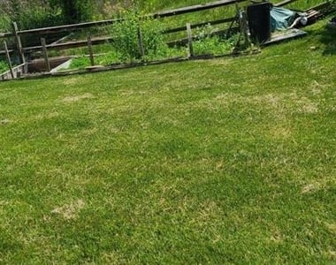 11601 Lighthouse Drive - Photo Thumbnail 4