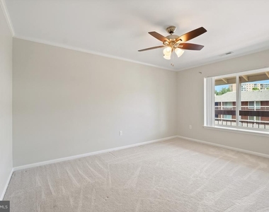 15101 Glade Drive - Photo Thumbnail 21