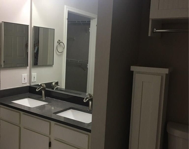 2320 Gracy Farms Ln - Photo Thumbnail 10