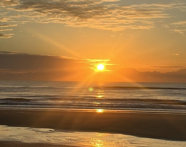 901 Ocean Boulevard - Photo Thumbnail 23