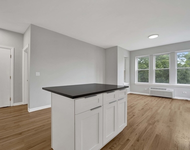 2456 N Hamlin Avenue - Photo Thumbnail 1