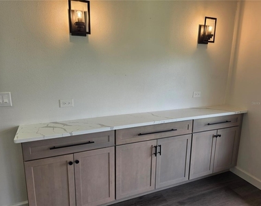 507 Plaza Seville Court - Photo Thumbnail 13