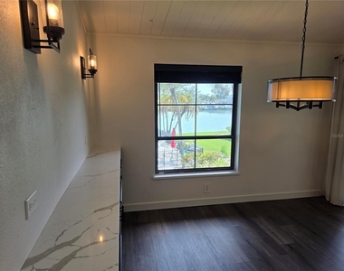 507 Plaza Seville Court - Photo Thumbnail 11