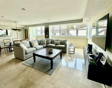 60 Caribe Cond. Castillo - Photo Thumbnail 5