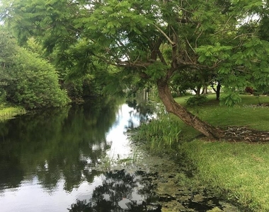 1645 Spoonbill Lane - Photo Thumbnail 46