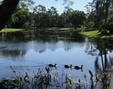 1645 Spoonbill Lane - Photo Thumbnail 48