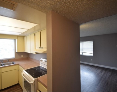 1005 S New York Avenue - Photo Thumbnail 1