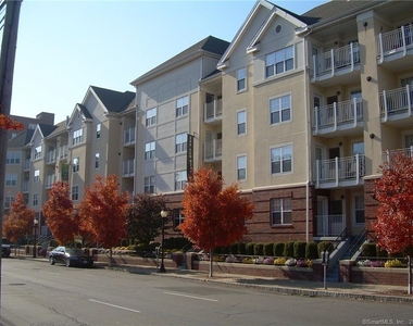 488 Bedford Street - Photo Thumbnail 5