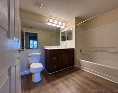 488 Bedford Street - Photo Thumbnail 18