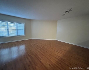 488 Bedford Street - Photo Thumbnail 19