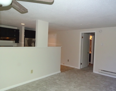 41 River Colony - Photo Thumbnail 7