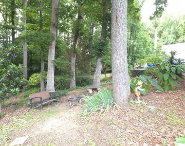 4910 Gold Mine Drive - Photo Thumbnail 23