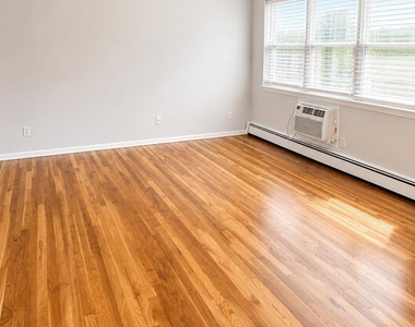 315-317 8th Avenue - Photo Thumbnail 4
