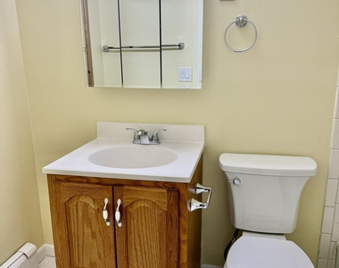 315-317 8th Avenue - Photo Thumbnail 11