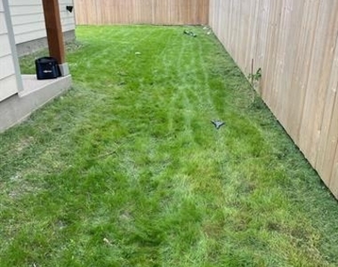 4105 Stuart Street - Photo Thumbnail 22