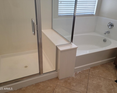 31111 N 136th Lane - Photo Thumbnail 18