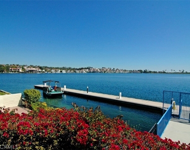 26261 Buscador - Photo Thumbnail 9
