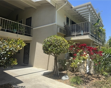 254 Calle Aragon - Photo Thumbnail 2