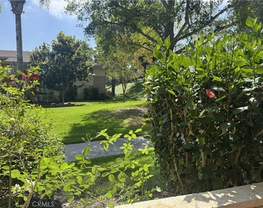 254 Calle Aragon - Photo Thumbnail 3