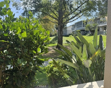 254 Calle Aragon - Photo Thumbnail 4