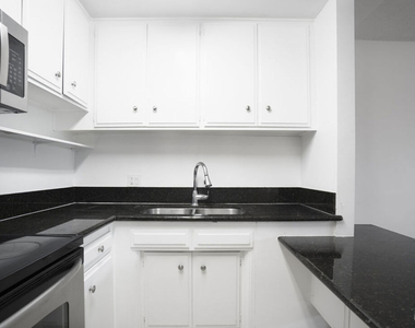 425 S Kenmore Avenue - Photo Thumbnail 10