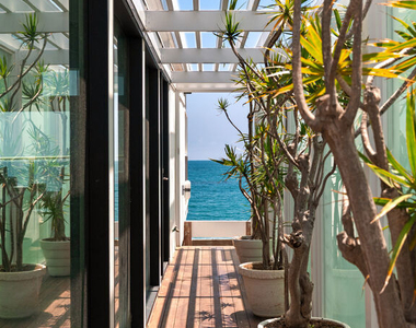 27044 Malibu Cove Colony Drive - Photo Thumbnail 11