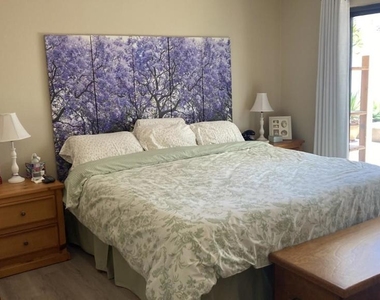 8809 Calle Perico St - Photo Thumbnail 12