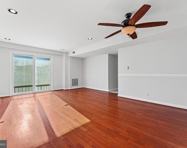202 Chesterfield Lane - Photo Thumbnail 4