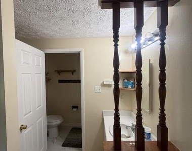 14105 Honey Hill Court - Photo Thumbnail 21