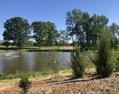 203 Condra Road - Photo Thumbnail 20