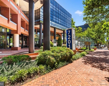 4800 Chevy Chase Drive - Photo Thumbnail 11